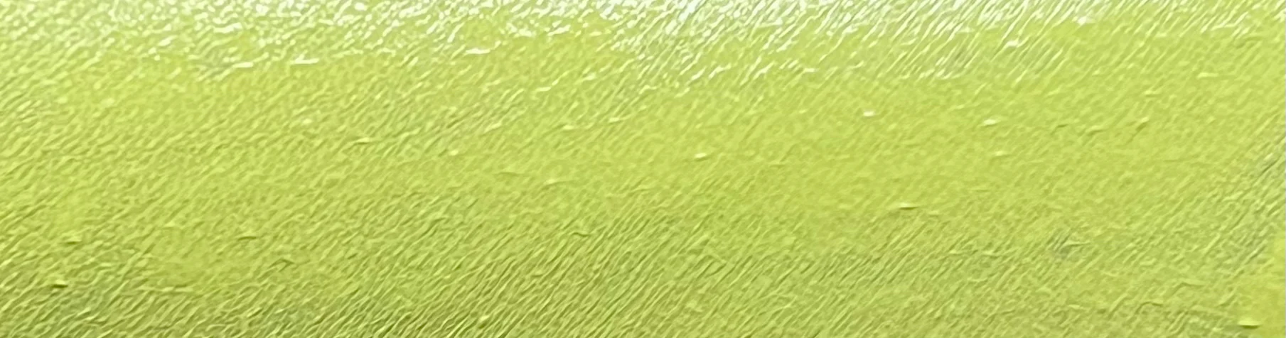 44 - Chartreuse (Yellow) Water Activated Graphic Liner - Image 4